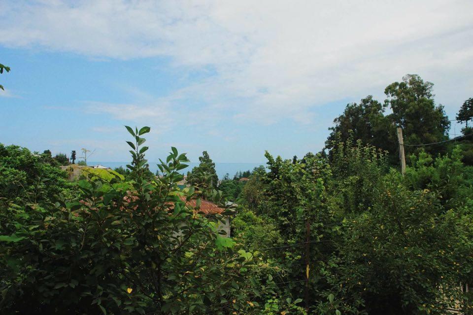 Villa La Familia Makhinjauri Exterior foto